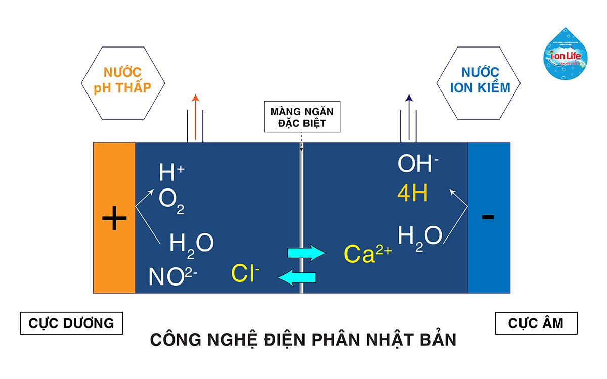 1725674655 761 nuoc ion kiem la gi 5(2)