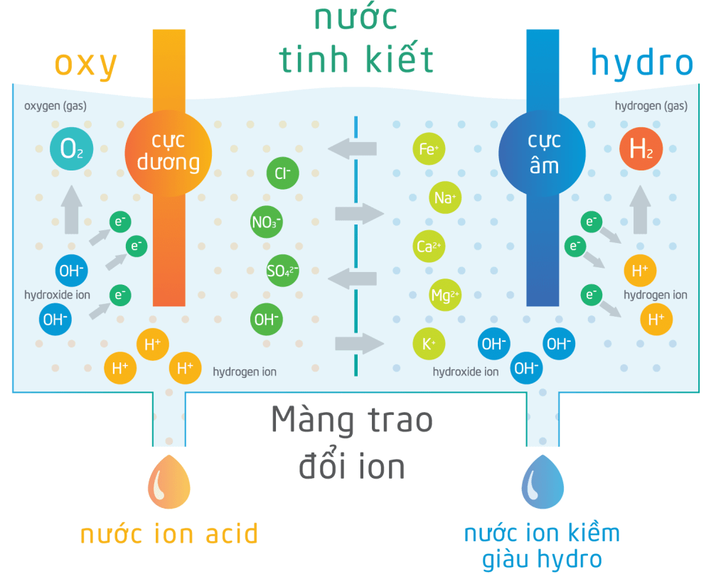 so sanh nuoc ion kiem 070924 2 Cân bằng pH, Lợi ích nước kiềm, Nước ion kiềm, Nước kiềm hóa