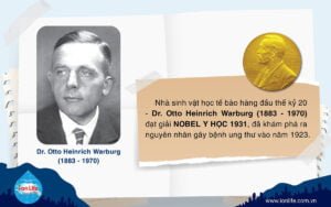 coi re ung thu ion life 1 Sức khỏe và Đời sống